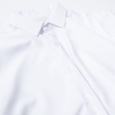 Executive Hidden-Button Long Sleeve Shirt - 66