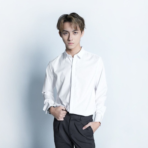 [1766] Executive Hidden-Button Long Sleeve Shirt - 66